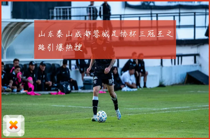 山东泰山成都蓉城足协杯三冠王之路引爆热搜