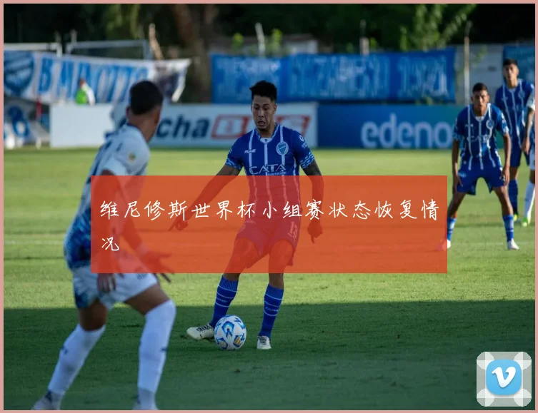 维尼修斯世界杯小组赛状态恢复情况