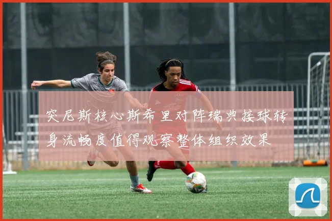 突尼斯核心斯希里对阵瑞典接球转身流畅度值得观察整体组织效果