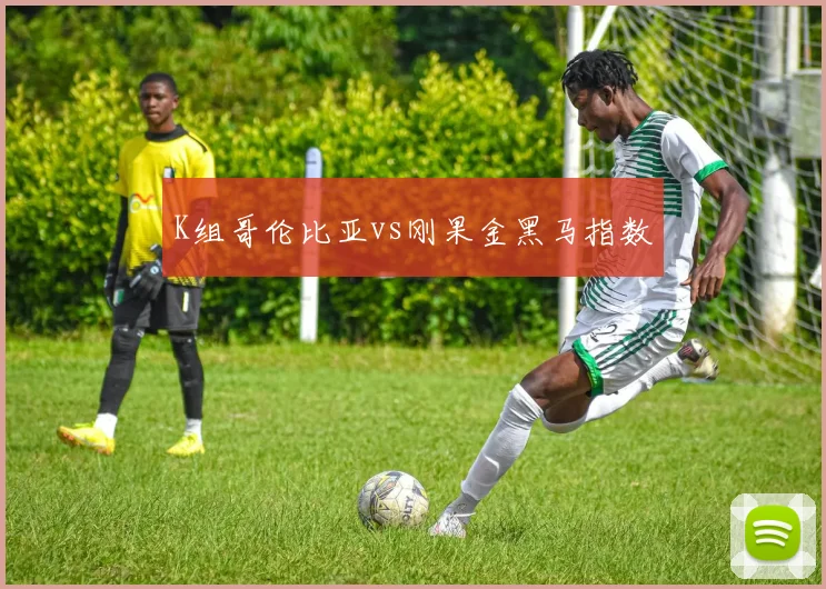 K组哥伦比亚vs刚果金黑马指数