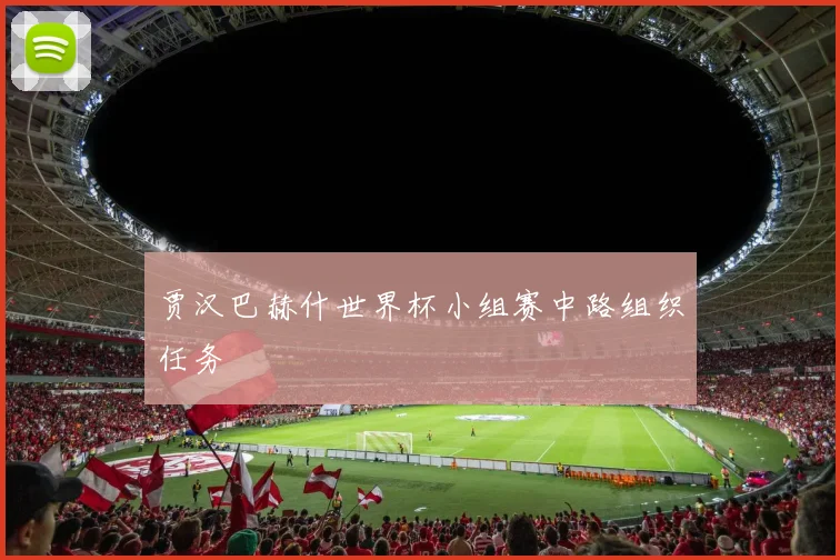 贾汉巴赫什世界杯小组赛中路组织任务