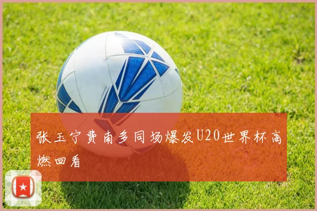 张玉宁费南多同场爆发U20世界杯高燃回看