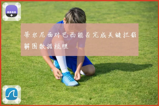 蒂尔尼面对巴西能否完成关键拦截解围数据梳理