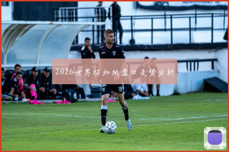 2026世界杯加纳盘口走势分析