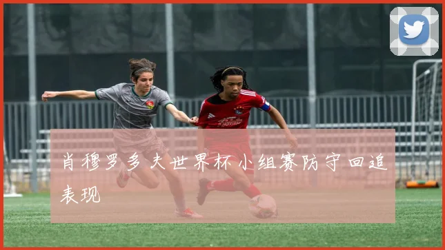 肖穆罗多夫世界杯小组赛防守回追表现