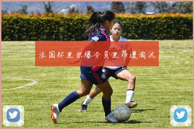 法国杯里尔爆冷负里昂遭淘汰