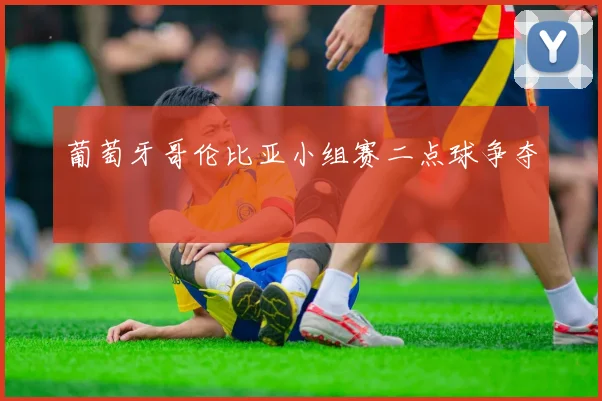 葡萄牙哥伦比亚小组赛二点球争夺