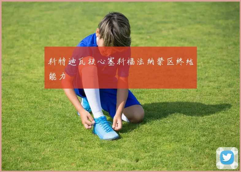 科特迪瓦核心塞科福法纳禁区终结能力