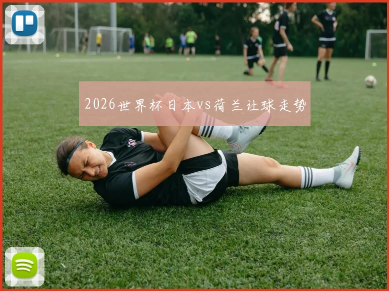 2026世界杯日本vs荷兰让球走势