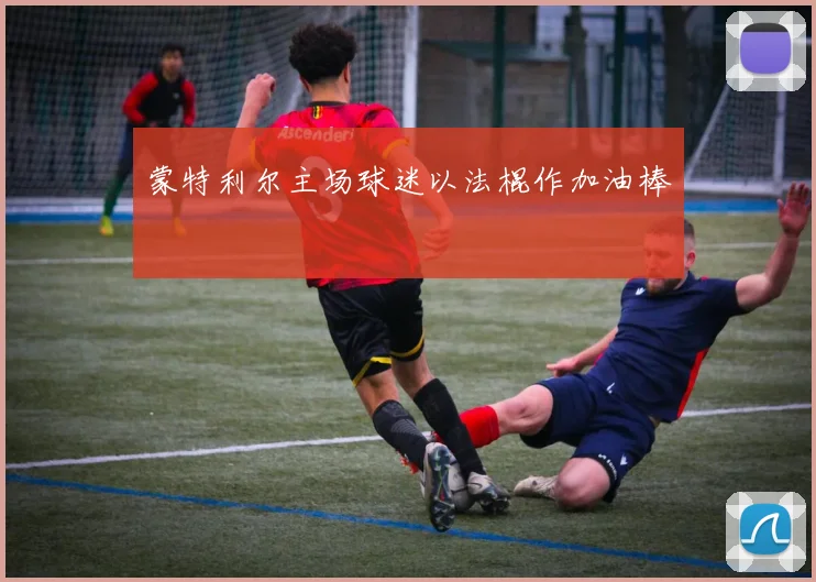 蒙特利尔主场球迷以法棍作加油棒